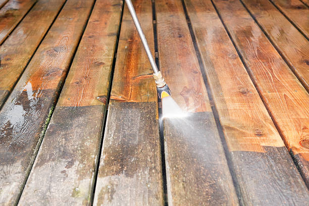 Best Gutter Cleaning  in Dunlap, IL